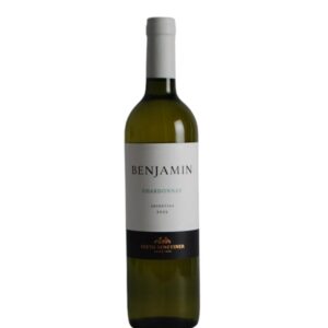 BENJAMIN NIETO CHARDONNAY  6x750cc